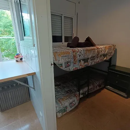 Palm Apartment