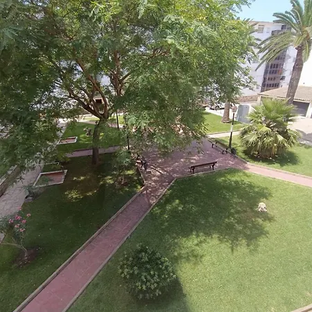 Palm Apartment